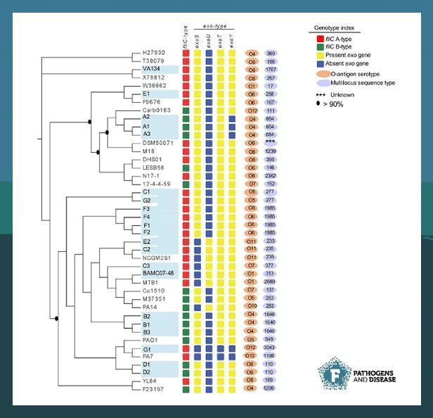 Interested in reading about #ESKAPE pathogens in the #clinical setting? Discover the latest article from Sanjar et al. exploring genetic determinants from #Pseudomonas aeruginosa strains associated with #burn #infections.

buff.ly/4312llj

#PathogDis