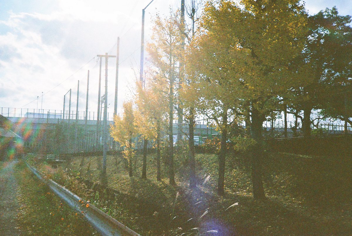 teru_hare's tweet photo. この時間がずっと続いてほしいと思った。

#ファインダー越しの私の世界 #写真で伝えたい私の世界 #写真好き #photooftheday #photo_jpn #photo #photography #フィルムカメラ https://t.co/V0QA24jzYP