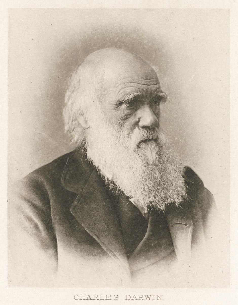 FossilHistory's tweet image. “Hurrah the monkey book has come!” Charles Darwin wrote to Thomas Huxley today in 1863, after receiving his new book, Man's Place in Nature. Huxley called human origins "the question of questions" for humankind, "a problem which underlies all others."