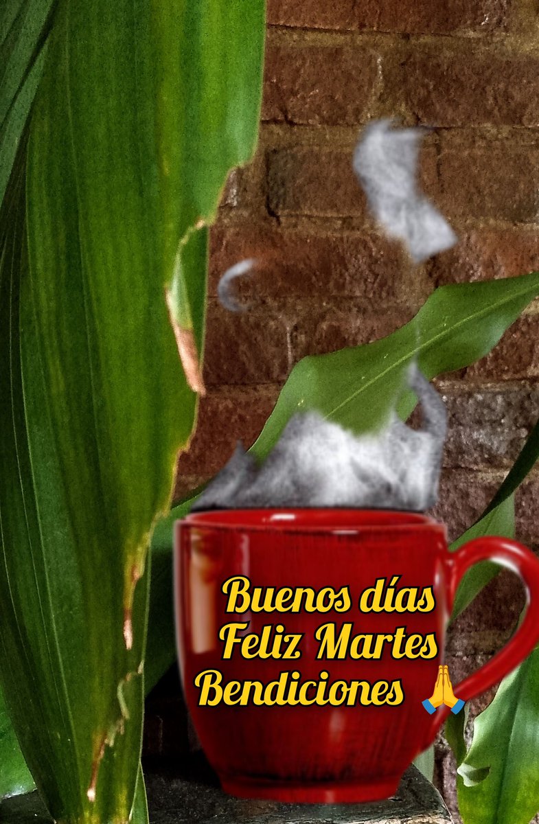 Eljosephray's tweet photo. Buenos días 🇻🇪 feliz martes bendiciones para todos 🙏 https://t.co/6KZrvjTkhK