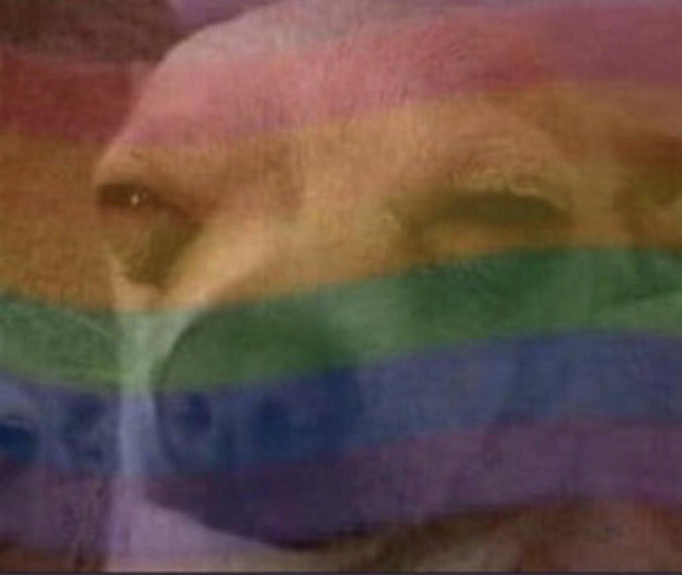 C.PALMER tweet media