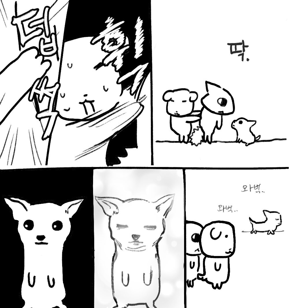 bdemgmr's tweet image. 강약약강