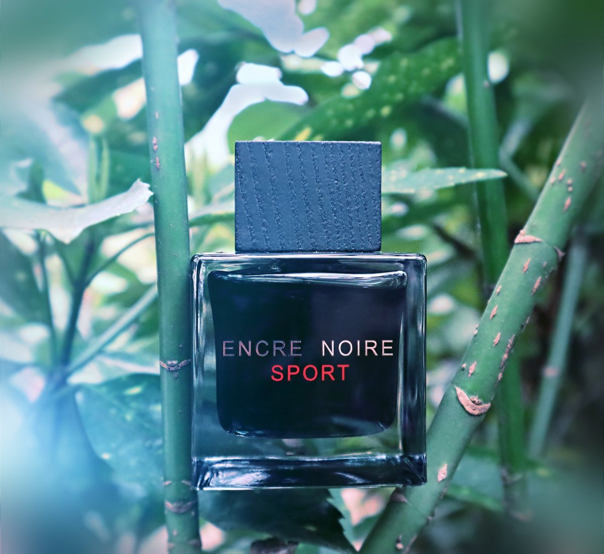 PerfumeExpertSA's tweet photo. قائمتي لأجمل العطور الاقتصادية حول ٢٠٠ رياااال أو أقل!! 😱🔥

🚨 ما زالت تخفيضاات الرااجحي مستمرة في أمااازون واللي تشمل معظم المنتجات ومن ضمنها العطور 🙏

تابع السرد https://t.co/TSNeQydV6G