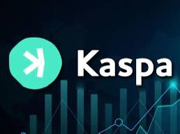 Yusuf Hayal tweet media