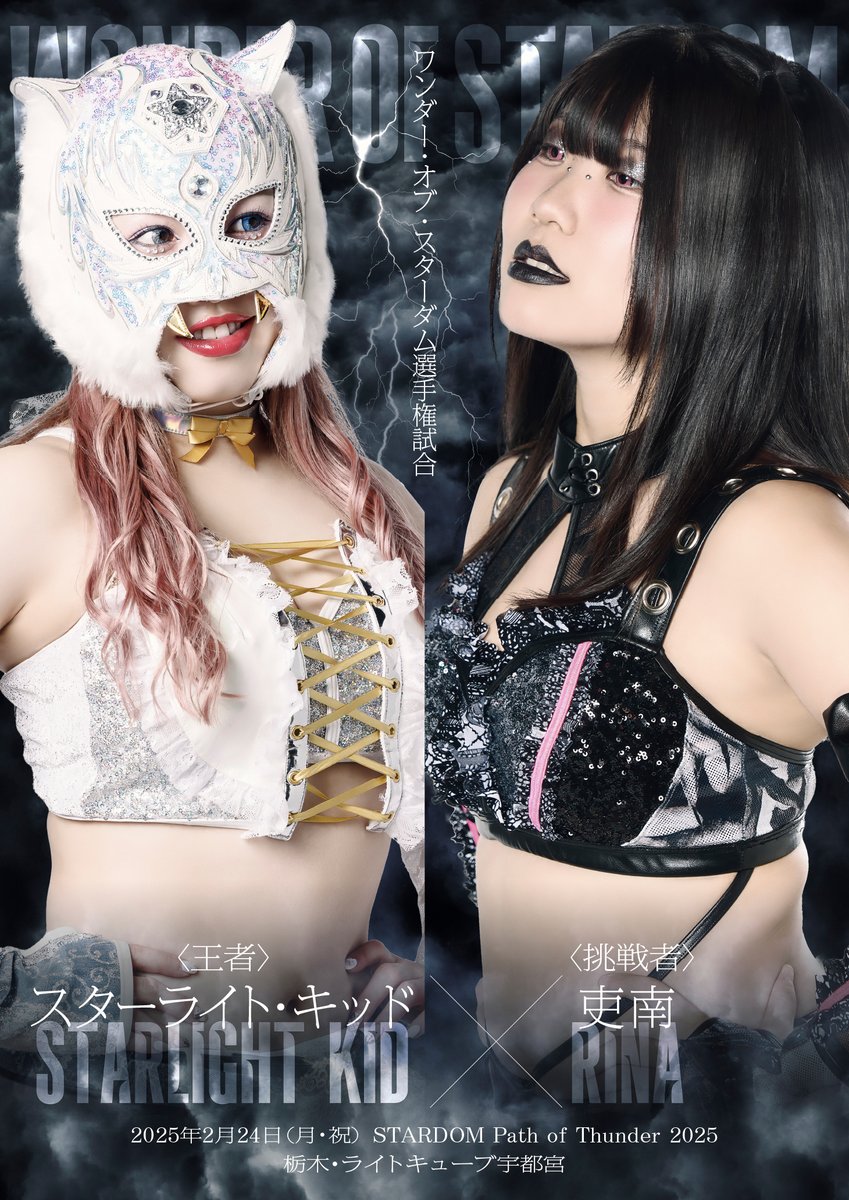 スターライト・キッド等身大タペストリー新品未開封STARDOMスターダム