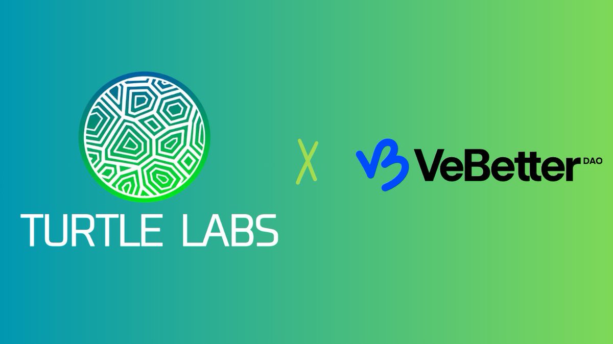 TurtleLabsV's tweet photo. 🚀 Turtle Labs is officially in the endorsement phase for @vechainofficial's VeB3TRDAO! 🌱💎

As OG builders since 2021, we're seeking endorsement to keep contributing to VeChain’s growing sustainable ecosystem. 

Vote on us &amp; start earning #B3TR!

https://t.co/Qy6Y0u4Zvy https://t.co/zxaKiWzlBV