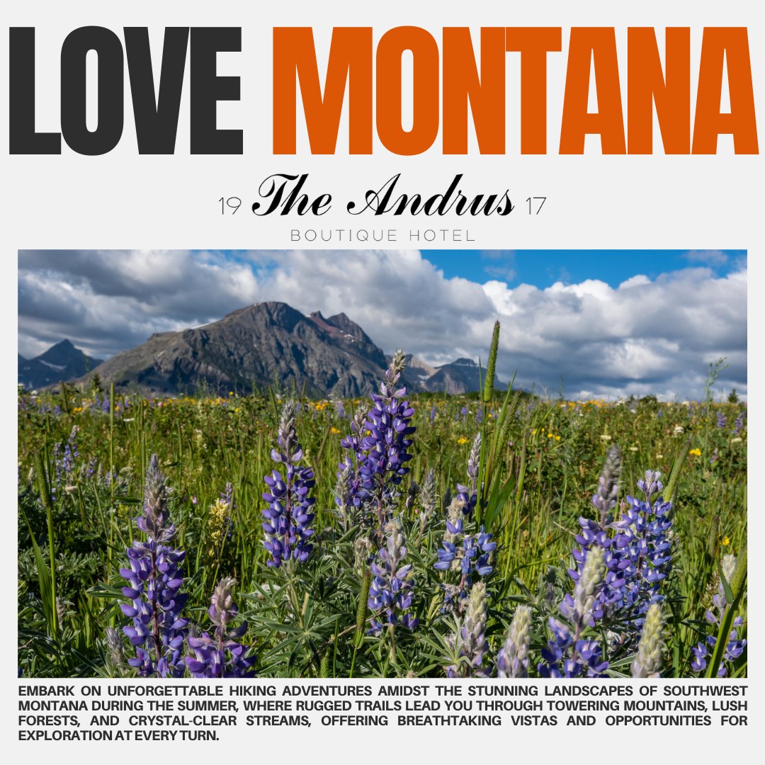 AndrusHotel's tweet image. The charm of #DillonMT awaits you! From #localshops and #galleries to #outdooradventures like #hiking, #fishing, and exploring #BeaverheadRock State Park, Dillon is a perfect destination. And the best part? The Andrus Hotel is right in the heart of it all. 🏙️
#VisitMontana