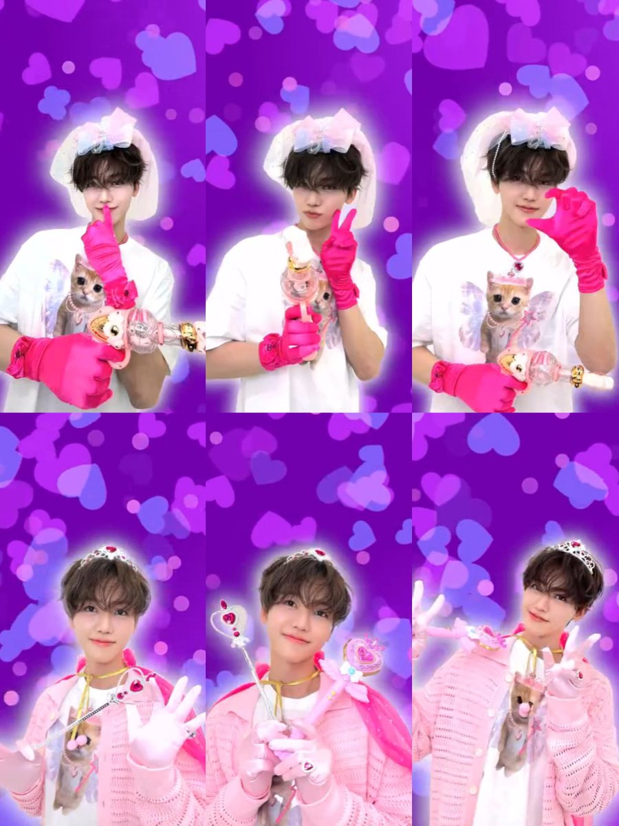 these photo sets 💖🐱