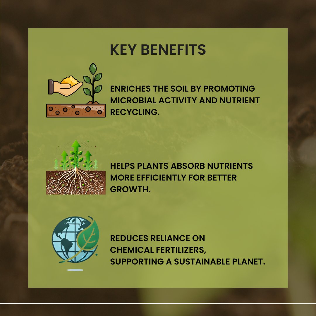 FagroAgTech's tweet photo. What are biological fertilizers? Think probiotics for plants! They boost growth, improve soil health, and cut chemical use—growing greener, naturally.

#biologicalfarmingontario #ontariocrophealth #seedtreatmentontario #ontag #saskag #cdnag #mbag #ldnont #canadianagriculture https://t.co/6NrIfi6Wok