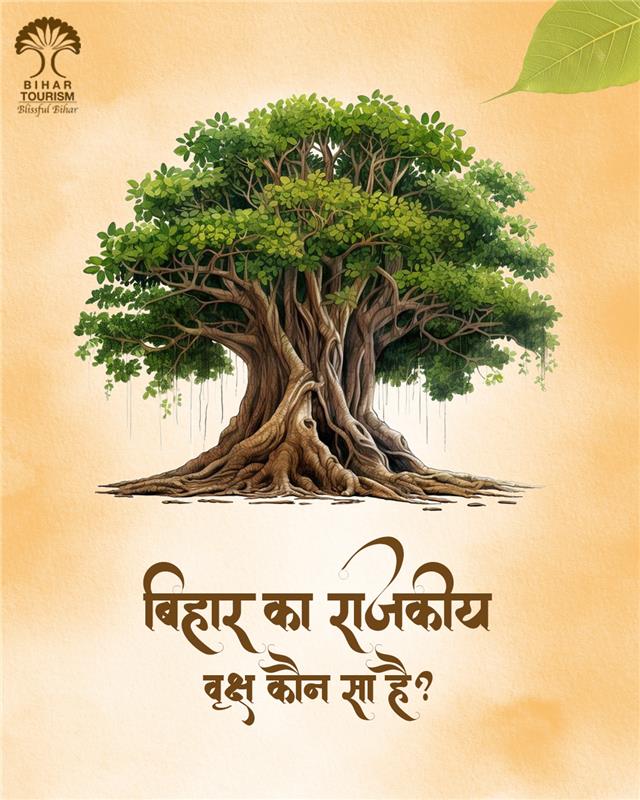 TourismBiharGov's tweet photo. छाँव में इसकी सुकून मिले, सदियों से ये जीवन दे।
ज्ञान की गाथा कहता है, बिहार की माटी का गहना है।
बोलो क्या है इसका नाम ?
#bihar #bihartourism #tree #visitbihar #quiz #doyouknow #pipal #ExploreBihar #IncredibleBihar #BiharTravel #DiscoverBihar
@mishranitish @incredibleindia @tourismgoi