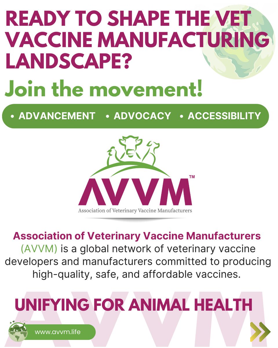 AVVMLIFE tweet picture