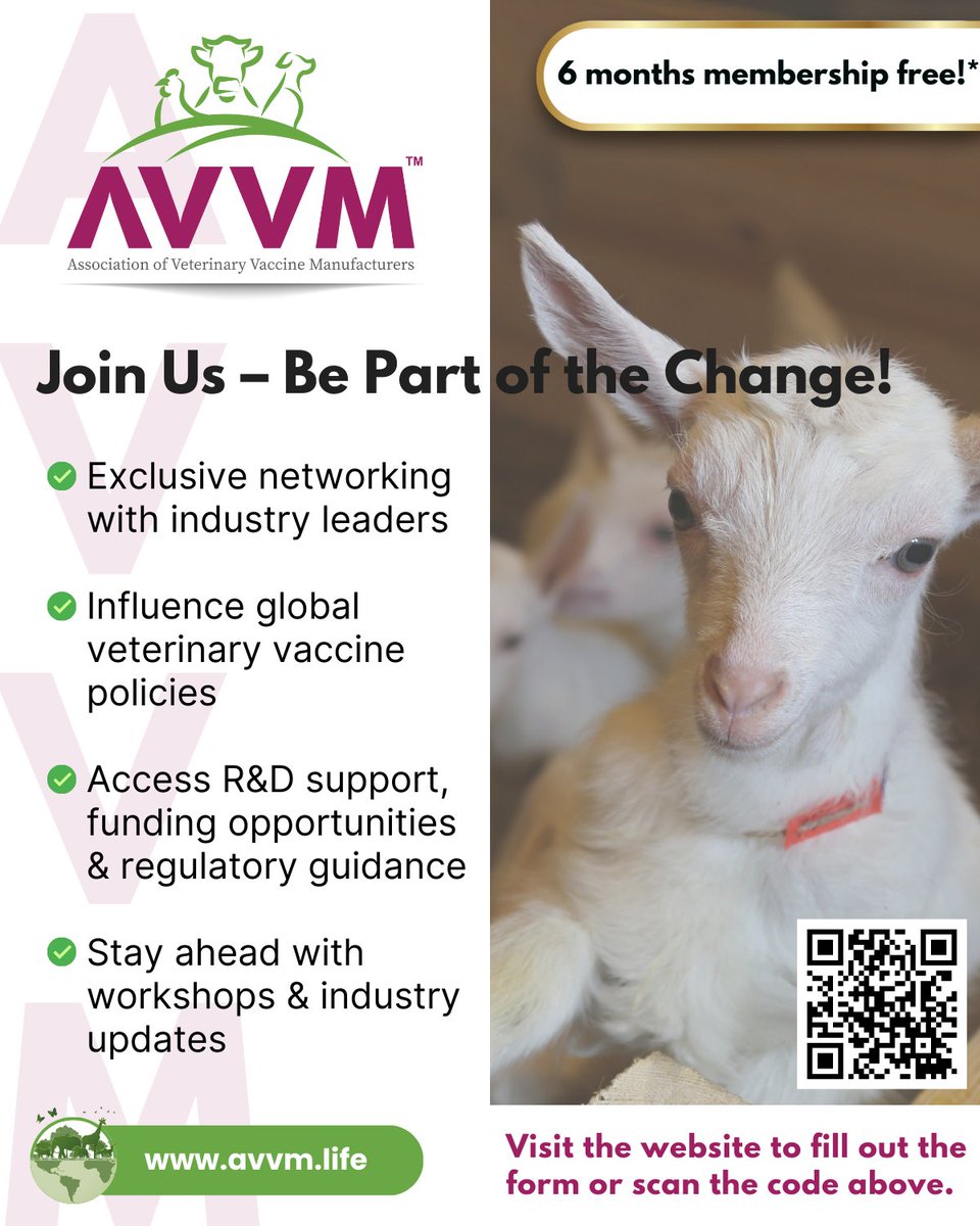 AVVMLIFE tweet picture