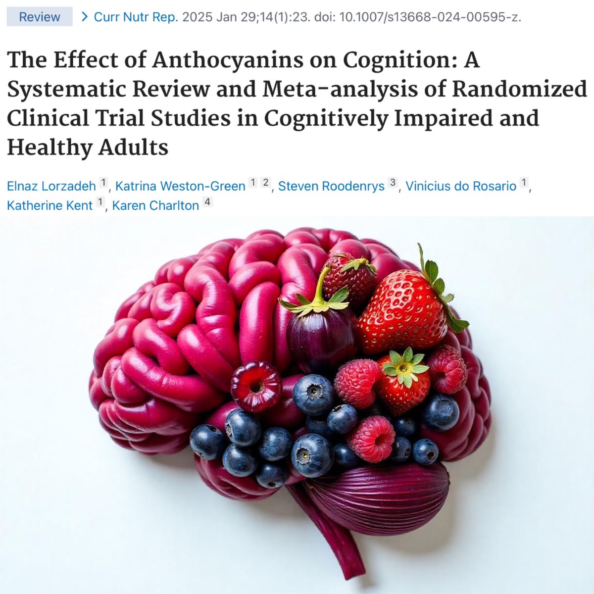 Anthocyanins can improve cognition and mood 🧠

Anthocyanins are water soluble plant pigments responsible for the deep red, blue and purple colour of fruits and some vegetables including…

🫐 Berries
🍒 Cherries
🍇 Grapes 
🧅 Red onion
🍆 Aubergine 

They have been shown to have