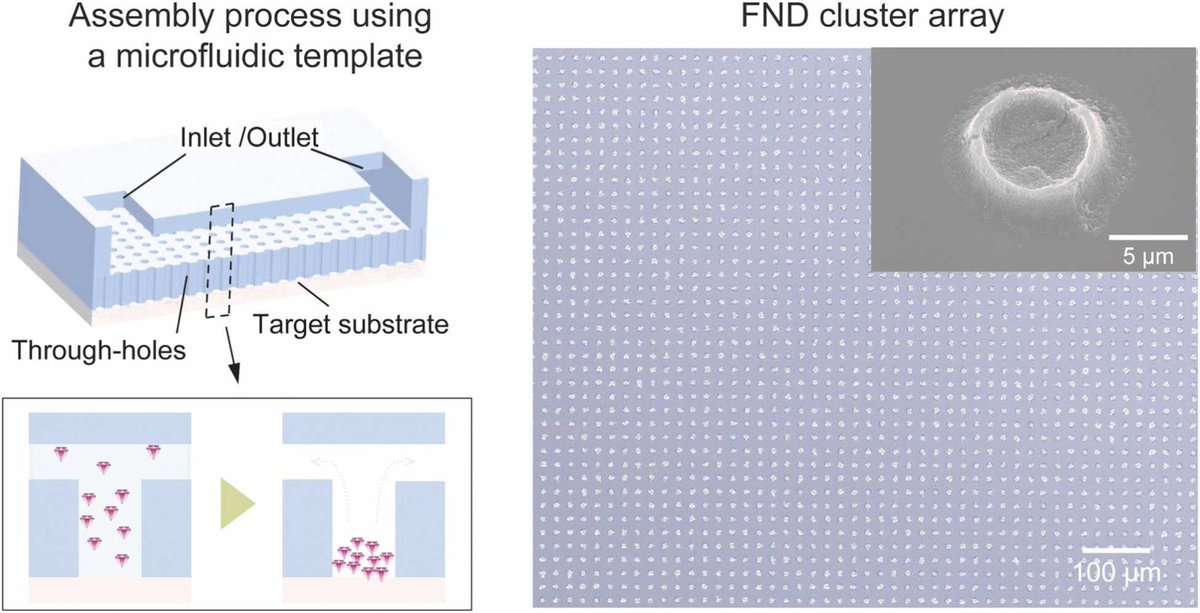 Keita’s paper entitled, “Microfluidics-guided fluorescent nanodiamond  assembly method for highly sensitive thermometry” is out in Sens. Actuator A-Phys. Congrats Keita👏👏
#mems #sensors #nanodiamond #NV #assembly #microfluidics
doi.org/10.1016/j.sna.…