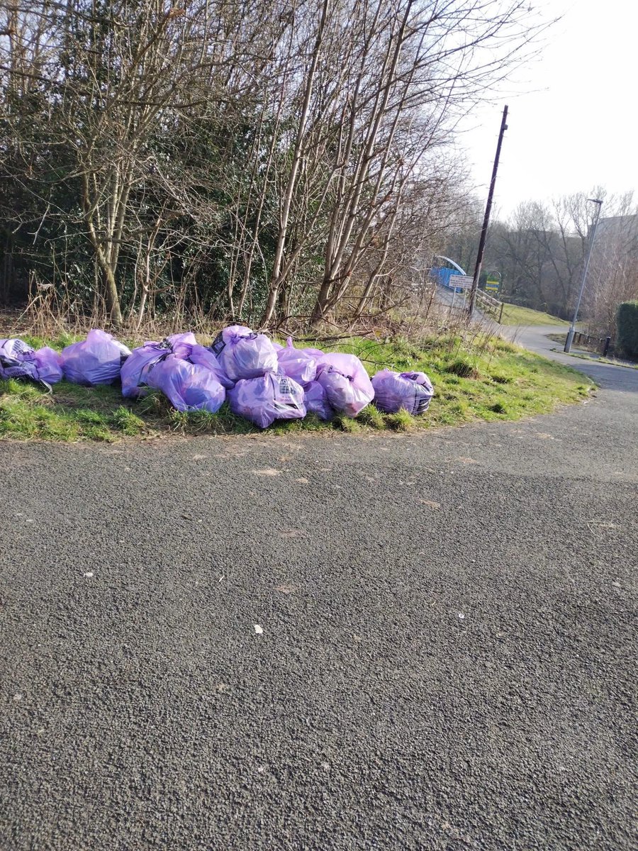 Keep Bury Clean 🌳 tweet media