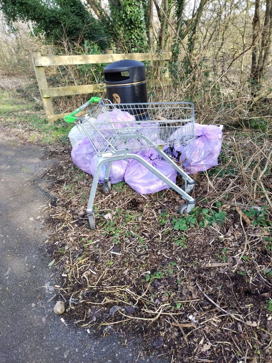 Keep Bury Clean 🌳 tweet media