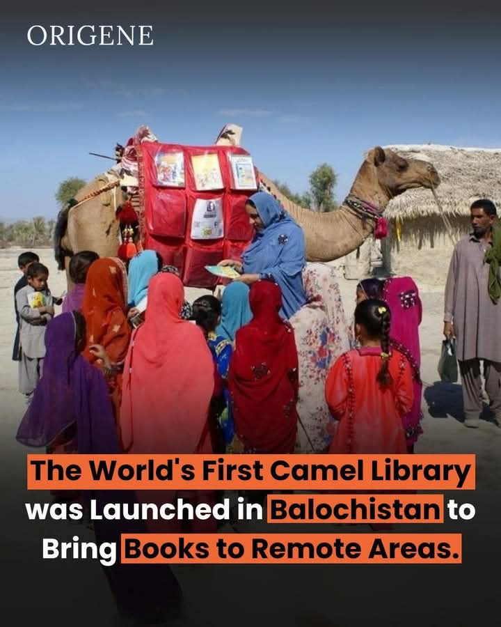 khattak_Zalanda's tweet photo. Bringing books to the dunes! 📚🐪 The world's first Camel Library is now traveling across Balochistan, turning desert trails into pathways of knowledge. A beautiful initiative to promote literacy where it's needed most. #CamelLibrary #BalochistanReads https://t.co/OUlTA5Dxts