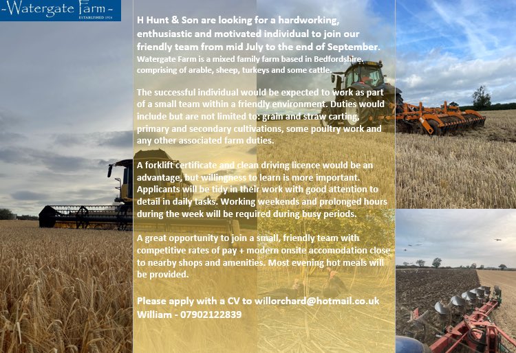 willorchard tweet media