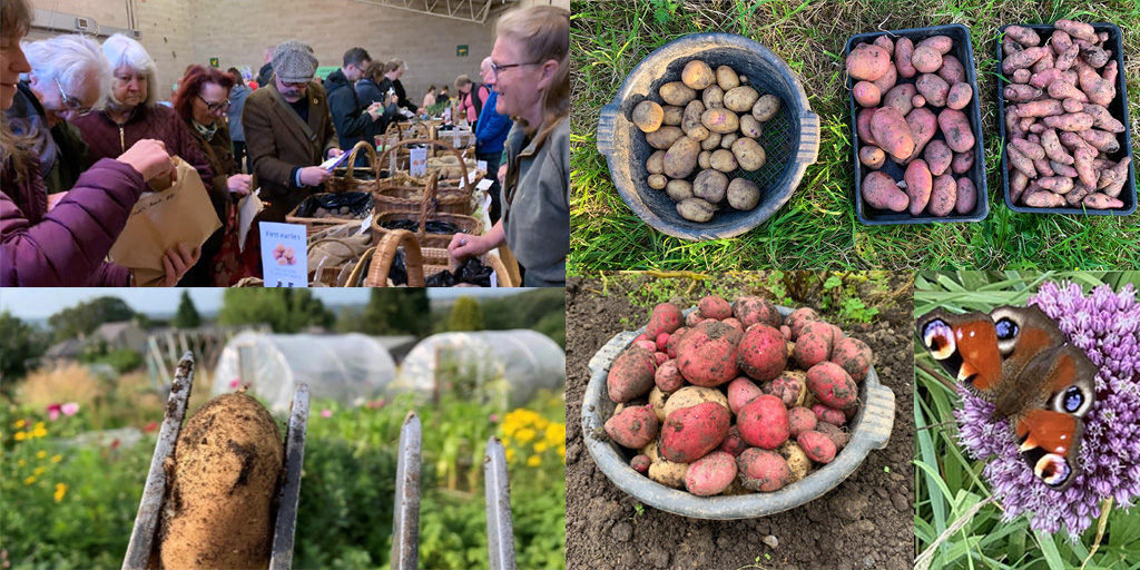 Join us for our Huddersfield Potato Day &amp; Seed Swap. 24 varieties of seed potato, plus onions &amp; veg seeds. Stalls &amp; activities. Local food on sale. Refreshments &amp; a hot lunch.

📅 Sat 1st March
⏰ 10am-1pm
🍽️ Lunch 12 noon
📍 Newsome Scout Hall HD4 6JJ

growingnewsome.wordpress.com/2025/02/03/gro…