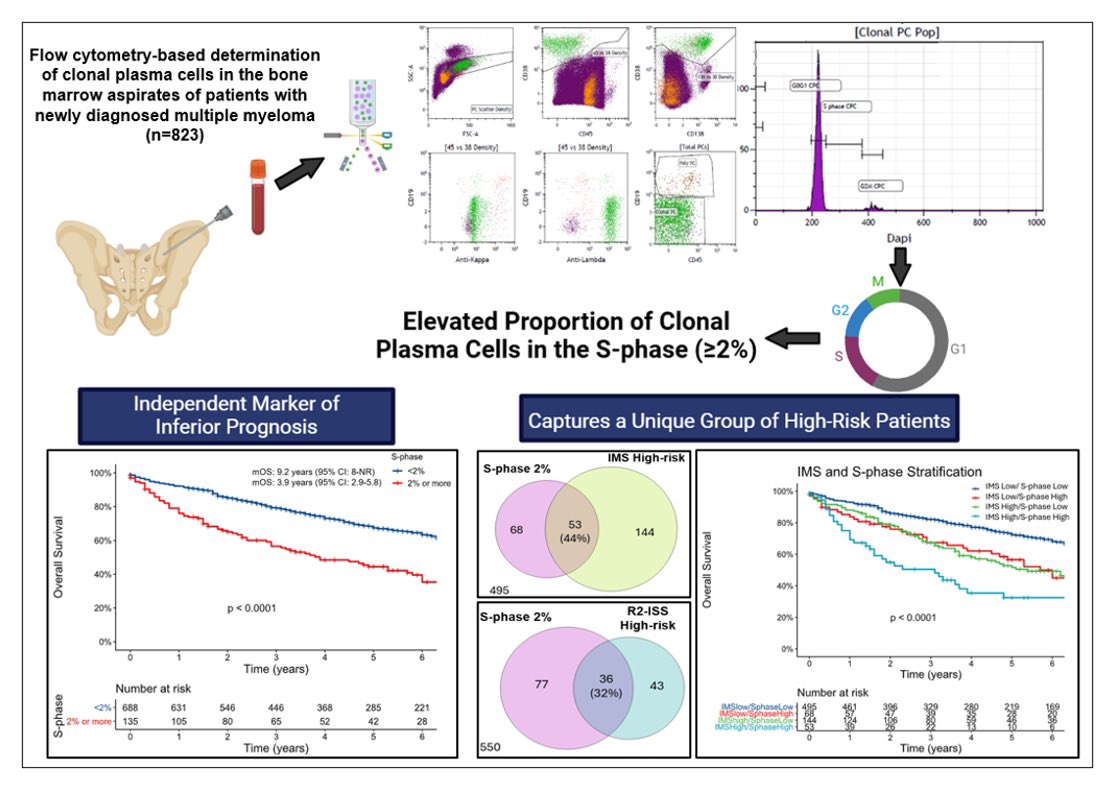 Saurabh Zanwar (@zanwarsaurabh) on Twitter photo Out now in <a href="/BloodCancerJnl/">Blood Cancer Journal</a>!
We present the powerful and independent prognostic impact of the fraction of clonal plasma cells in S-phase (≥ 2%) in the era of R2-ISS and IMS24 risk strata
<a href="/MayoMyeloma/">Mayo Myeloma</a> <a href="/myelomaMD/">Shaji Kumar</a> <a href="/VincentRK/">Vincent Rajkumar</a>
nature.com/articles/s4140…
Top line results and a 🧵 Out now in <a href="/BloodCancerJnl/">Blood Cancer Journal</a>!
We present the powerful and independent prognostic impact of the fraction of clonal plasma cells in S-phase (≥ 2%) in the era of R2-ISS and IMS24 risk strata
<a href="/MayoMyeloma/">Mayo Myeloma</a> <a href="/myelomaMD/">Shaji Kumar</a> <a href="/VincentRK/">Vincent Rajkumar</a>
nature.com/articles/s4140…
Top line results and a 🧵