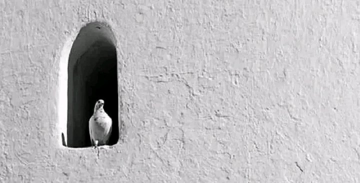 “Sometimes, it’s better to be alone. At least nobody will hurt you.”