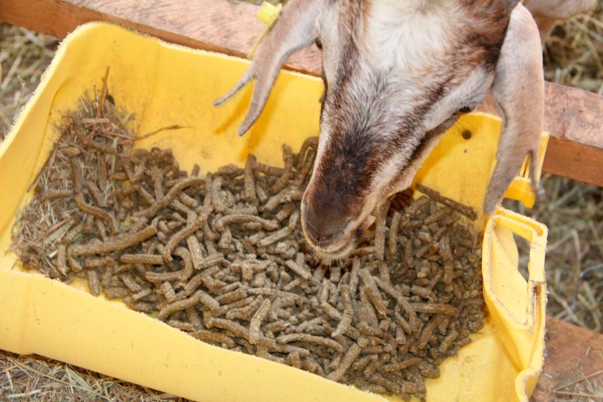 Daily Nation tweet media