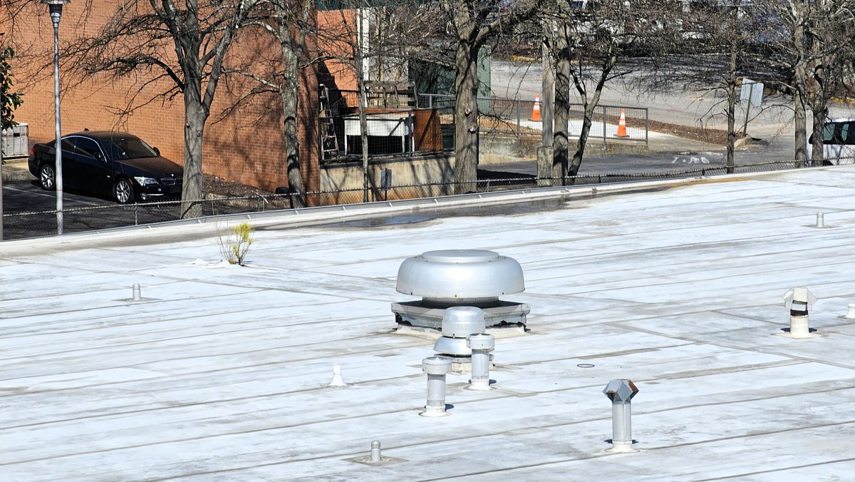 tseroofing's tweet photo. Signs that your roof has moisture intrusion :
If your ISO is sprouting vegetation it might be a sign. Remember just because it hasn't leaked doesn't mean there aren't issues. Schedule your inspection today to catch these problems before they get this bad, or even before they happen!

#roofing #roofingcontractor #Rooftop #roofrepair #roofmaintenance #maintenance #MaintenanceMatters #roofinspection #tsecommercialroofing #tseroofing #TSE
