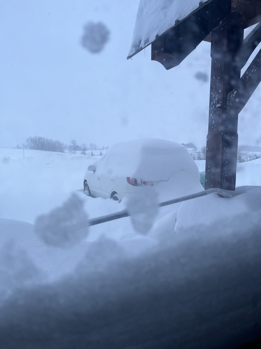 Cider & Fire (@ciderfire) on Twitter photo <a href="/stellaacquisto/">STELLA ACQUISTO</a> <a href="/breakfasttv/">Breakfast Television</a> here’s a look outside getting buried haven’t been out in days! #snowstuck <a href="/stellaacquisto/">STELLA ACQUISTO</a> <a href="/breakfasttv/">Breakfast Television</a> here’s a look outside getting buried haven’t been out in days! #snowstuck