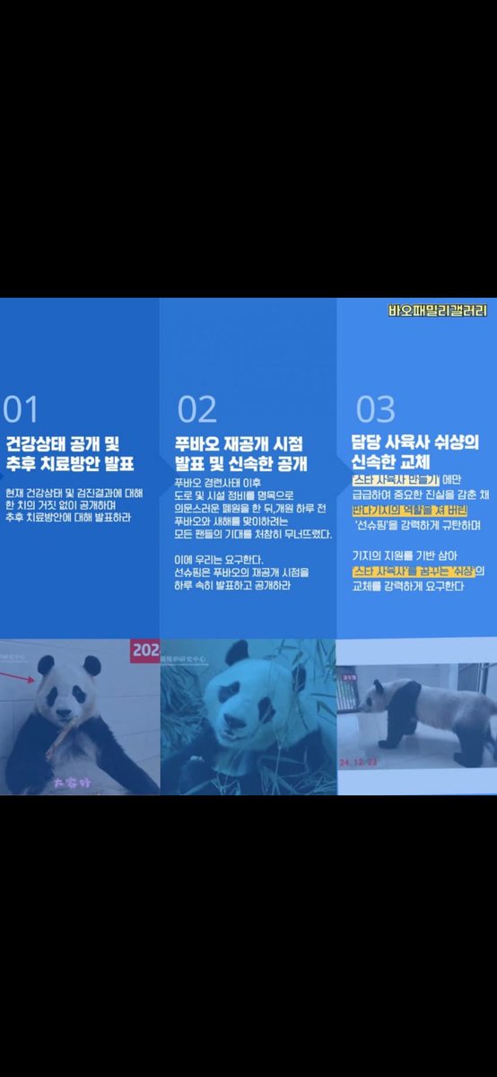 imstarrybao's tweet photo. #fubao #panda #savefubao 
푸바오는 한국곰!!
중굳 워룽 선수핑기지는 
판다 학대, 인공수정을 멈춰라!!
푸바오를 즉시 공개하고 아픈곳을 치료하라!!!
중국 판다외교는 이제 끝!! https://t.co/B5Zsb00lPx