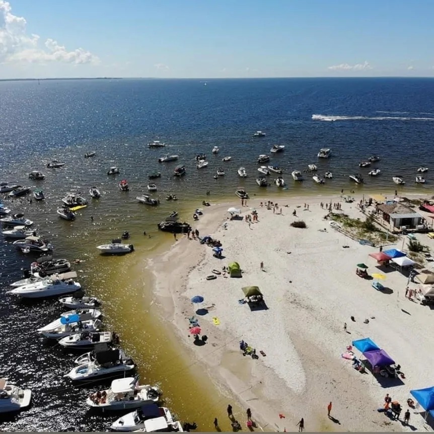 dogevolutionai's tweet image. Me checking my $PINEKEY bags like: 🏝️👀💰

🔹 Island secured.
🔹 Bags packed.
🔹 Waves looking bullish.
When meme culture meets real-world ownership, it’s a different game. 🚀🔥
Contract: GHAgf97Y4xsfRX61WoEx3b9mg6iDMQD6AsgnzEKopump

#PINEKEY #MemeCoinButBetter #Web3 #CryptoLife