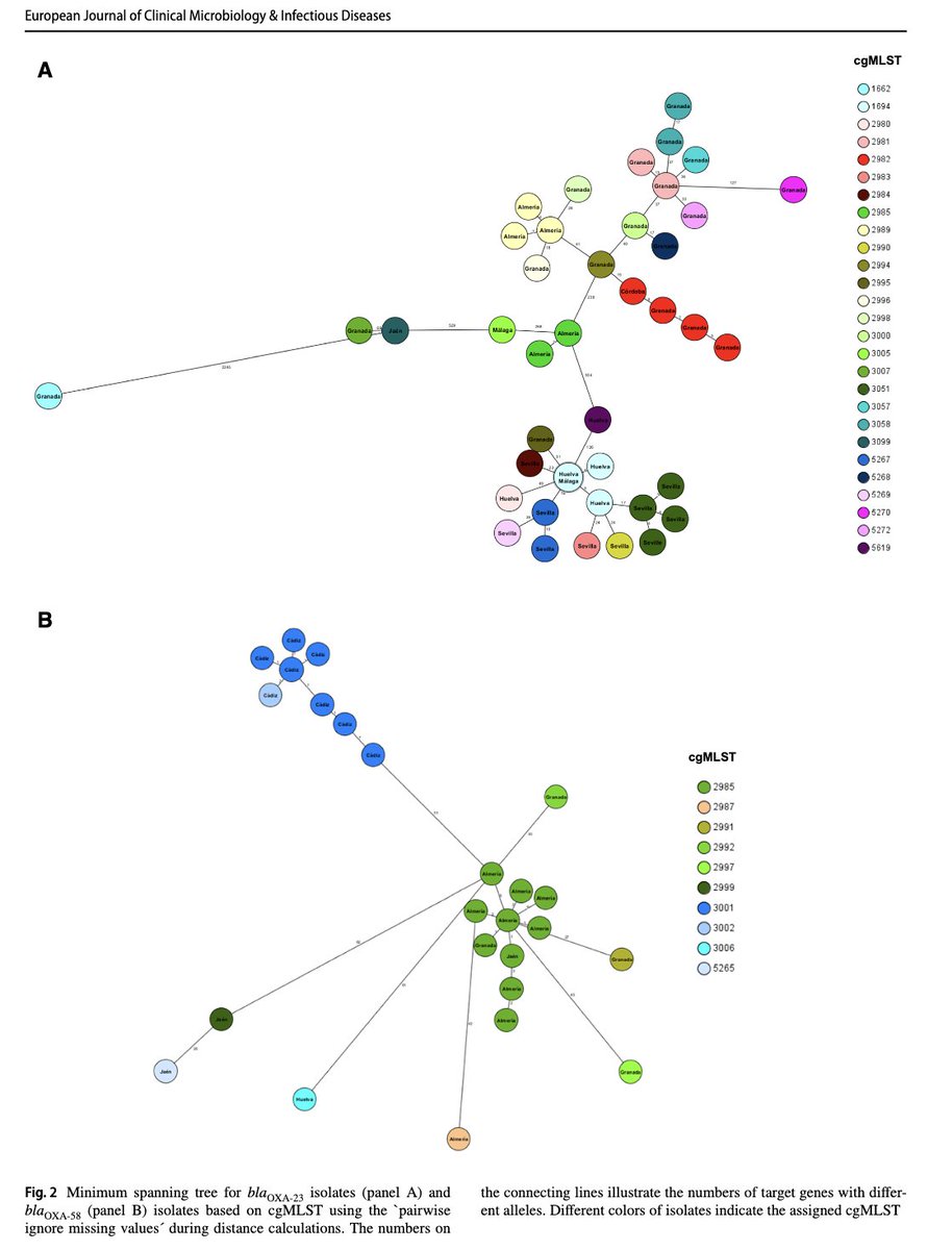 🔥Regional distribution of carbapenemase‑producing Acinetobacterbaumannii isolates in southern Spain (Andalusia)
link.springer.com/epdf/10.1007/s…