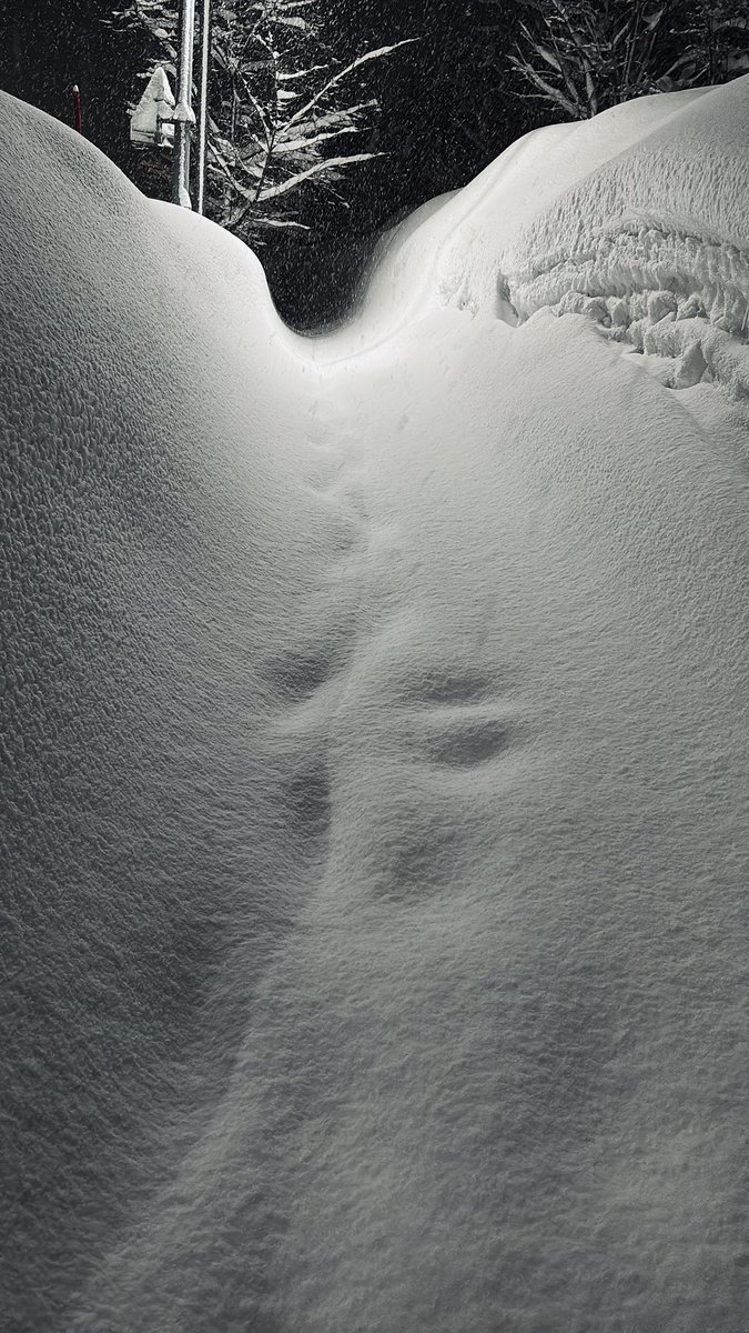もうええて、雪は！！！