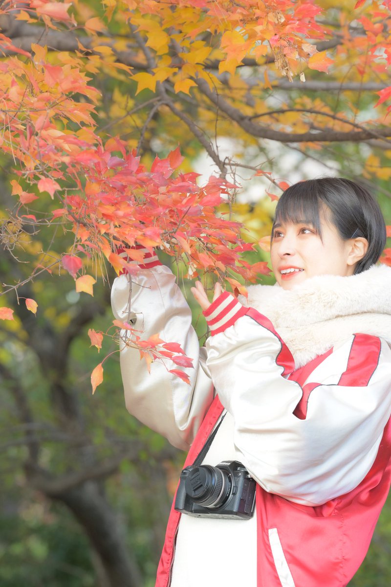 survidol_kaho's tweet image. ポトレを撮りに行った時のポトレ📸

撮影: Nikon Z50II

#Nikon
#Z6III
#Z50II