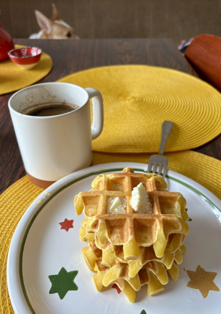 Унибрагилья tweet media