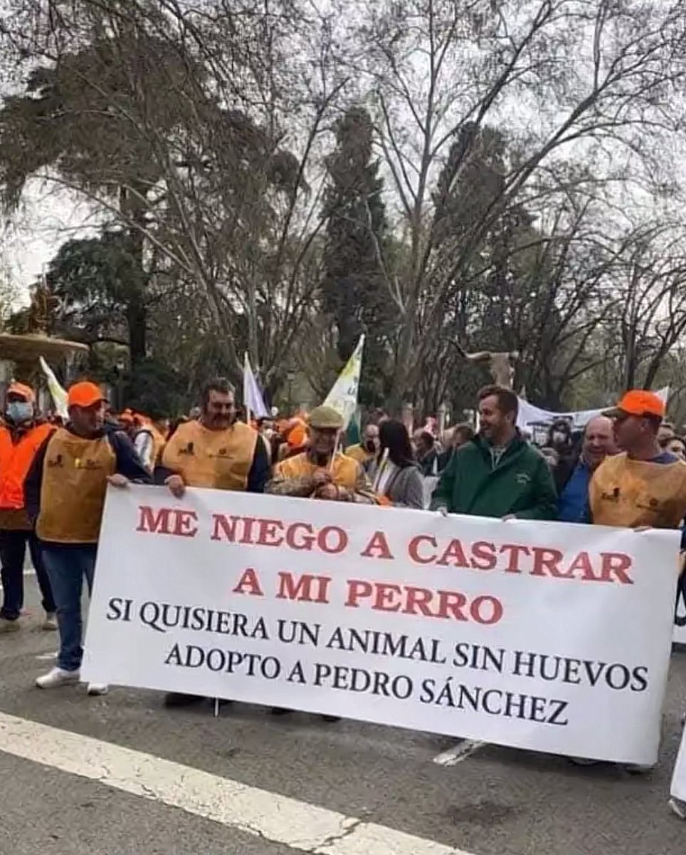 Me ha llegado por Watsapp 🤣🤣🤣🤣