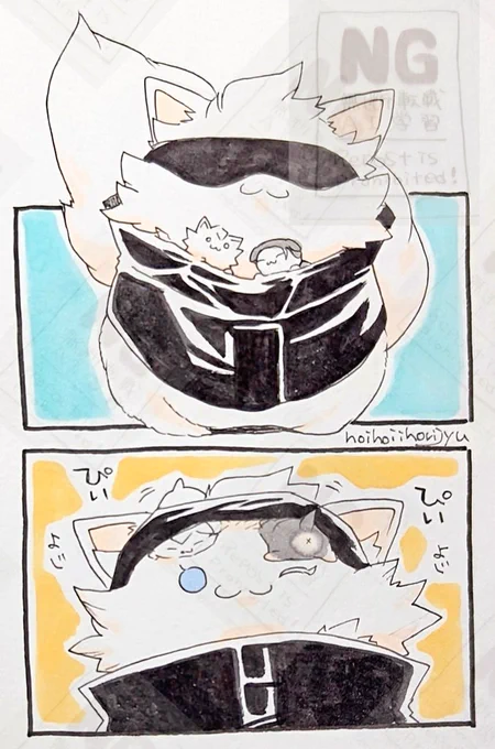 ㍋師と子㍋🐱 