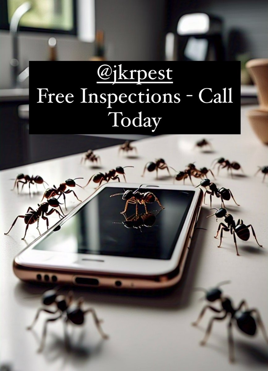 Jkrpest's tweet photo. Ensure your home remains a sanctuary by taking advantage of our complimentary pest inspection services. Don't let unwanted guests disrupt your peace of mind. Contact us at 845-552-0827 to schedule your free inspection today. Your comfort is our priority.
#WappingersFallsNY https://t.co/zCV8nQ1VBS