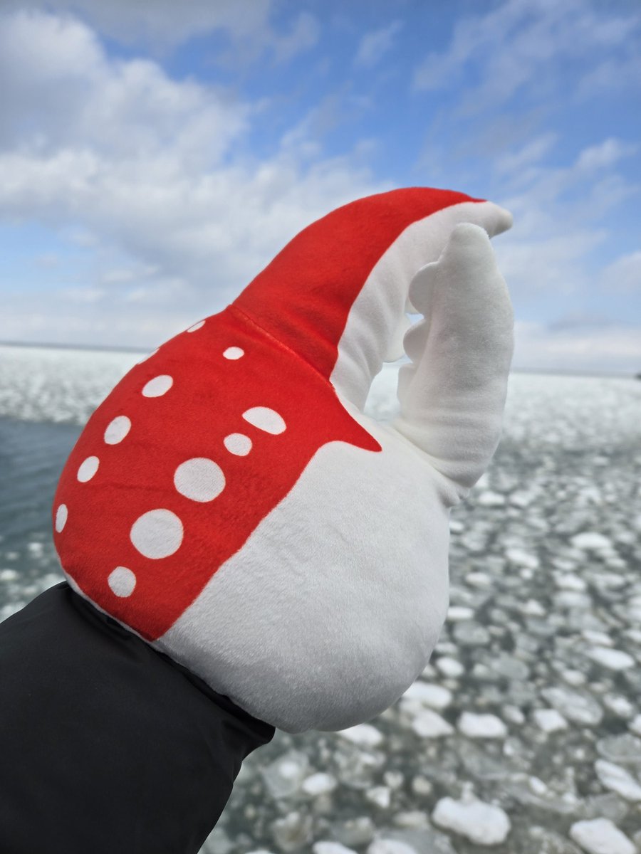 masago_illust's tweet photo. 【カニの爪くじ】🦀
このカニの爪はコロンとしたフォルムがかわいくて、空の青と流氷の白に爪の赤が映える✨
ガリンコ号の船上でもこの爪はめとけば暖かい。
自立するから撮影にもぴったり♥
マシュマロタッチな肌触りが最高で毎日手にはめて癒されてる。
みんな、紋別行ったらくじ引いて。 https://t.co/mu5SrmahJs