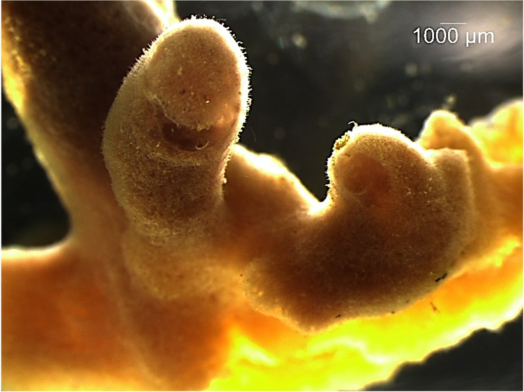 Florian Moeller tweet media