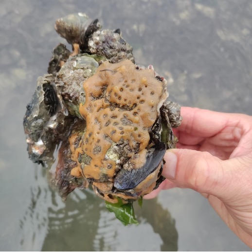 Florian Moeller tweet media