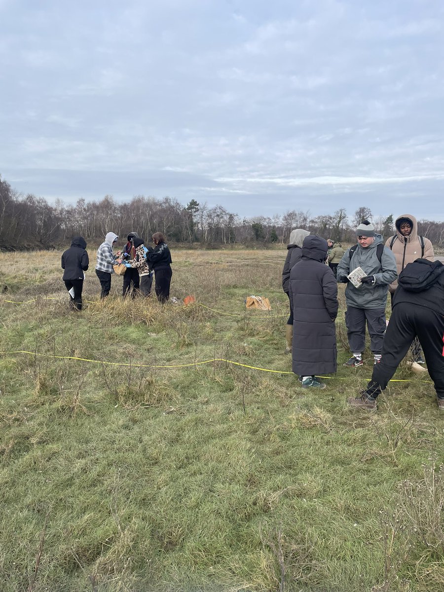 Mariana Lima tweet media