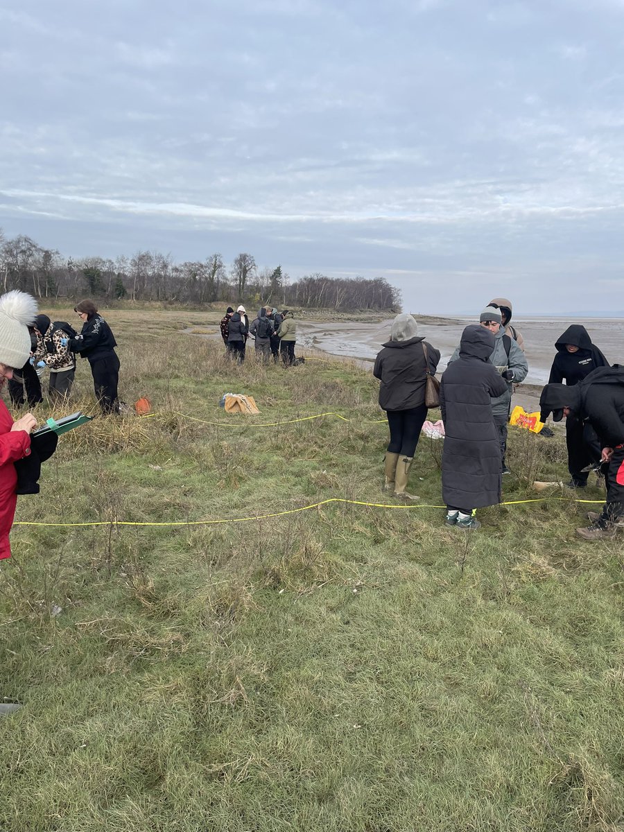 Mariana Lima tweet media