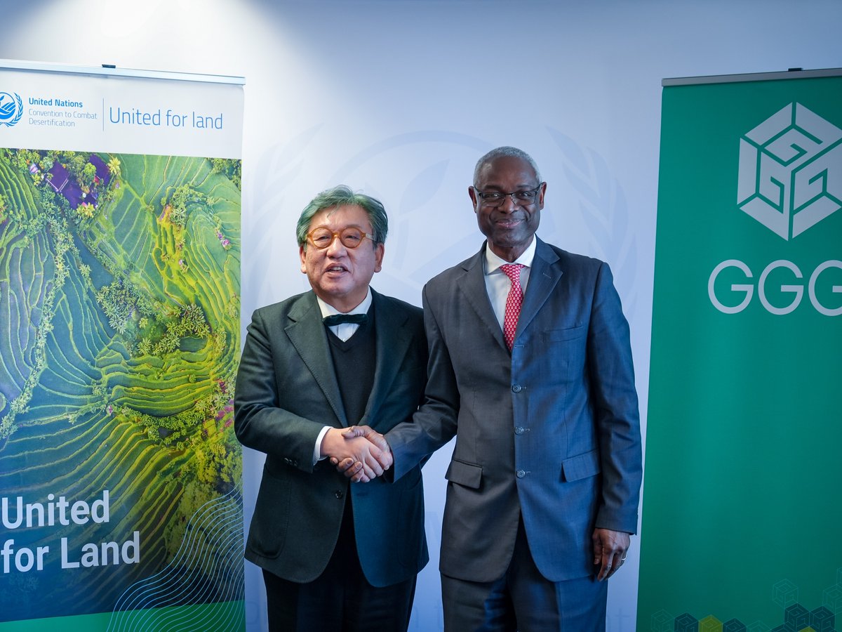 Ibrahim Thiaw tweet media