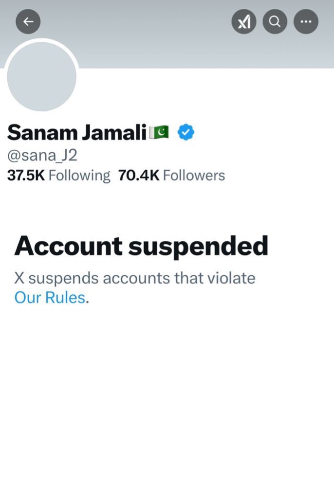 If you are new here or missed the news, my account was wrongfully suspended without any chance at appeal. 

X completely ruined my life and the only thing I ever built in my life is now gone.