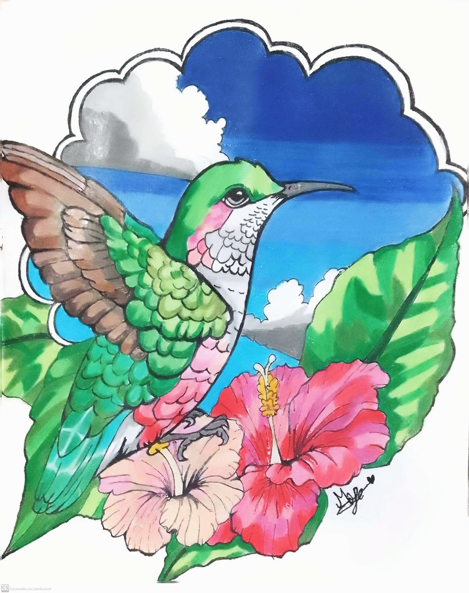 _Maylein_'s tweet image. Un dibujo que hice para mi papá, su animal favorito, el colibrí ❤️🥰🌺
#art #Ave #Pajaro #Bird #Animal #Drawing #Dibujo #Colibri #Hummingbird