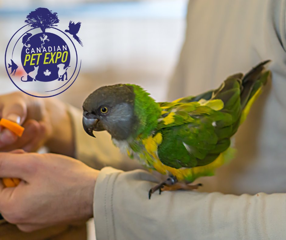 Our Spring Canadian Pet Expo is looking to be another ENORMOUS and UNFORGETTABLE celebration of our beloved pets!  April 18th to 20th at the International Centre in Mississauga. To learn more and get your tickets: canadianpetexpo.ca/show-features-…