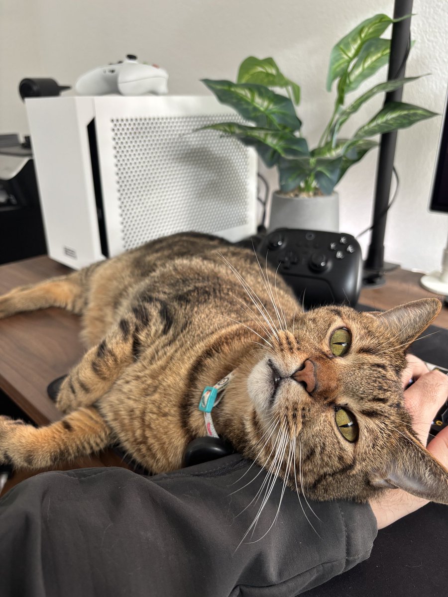 Ryan Joseph Kirby tweet media