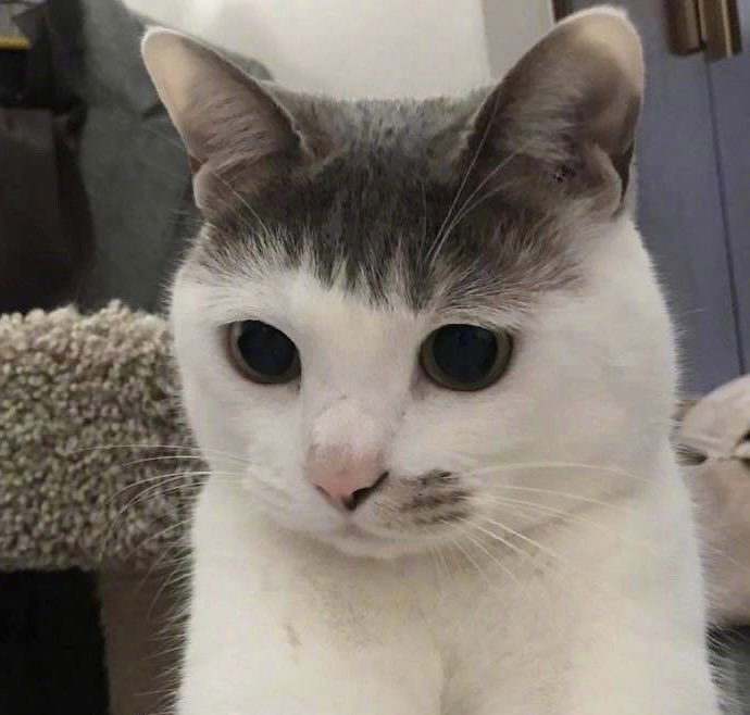 아니 앞머리 똑같음 미치겠다