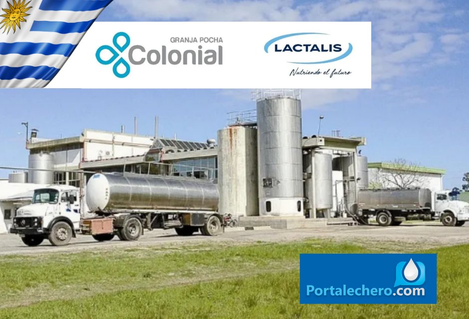 Portalechero's tweet photo. Lactalis Adquiere Granja Pocha y Fortalece su Presencia en Uruguay
Ambas compañías informaron que han iniciado un «proceso de asociación estratégica» que culminará con la transferencia de acciones de Granja Pocha a Lactalis. 
LEE AQUI LA NOTA COMPLETA:
https://t.co/Jf9TfRcElw https://t.co/PMBjRDnLSu