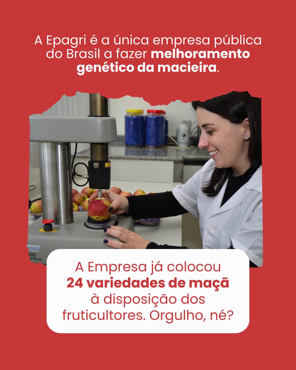 🎥🍎Elas não ganharam um Oscar - mas, no mundo da fruticultura, estão brilhando mais que estrela de cinema!

🌟Arraste para o lado e venha conhecer a Isadora, a Luiza e a Venice.

#maçã #macieira #agriculturasustentável #agro #agricultura  #aquitemEpagri #agriculturafamiliar